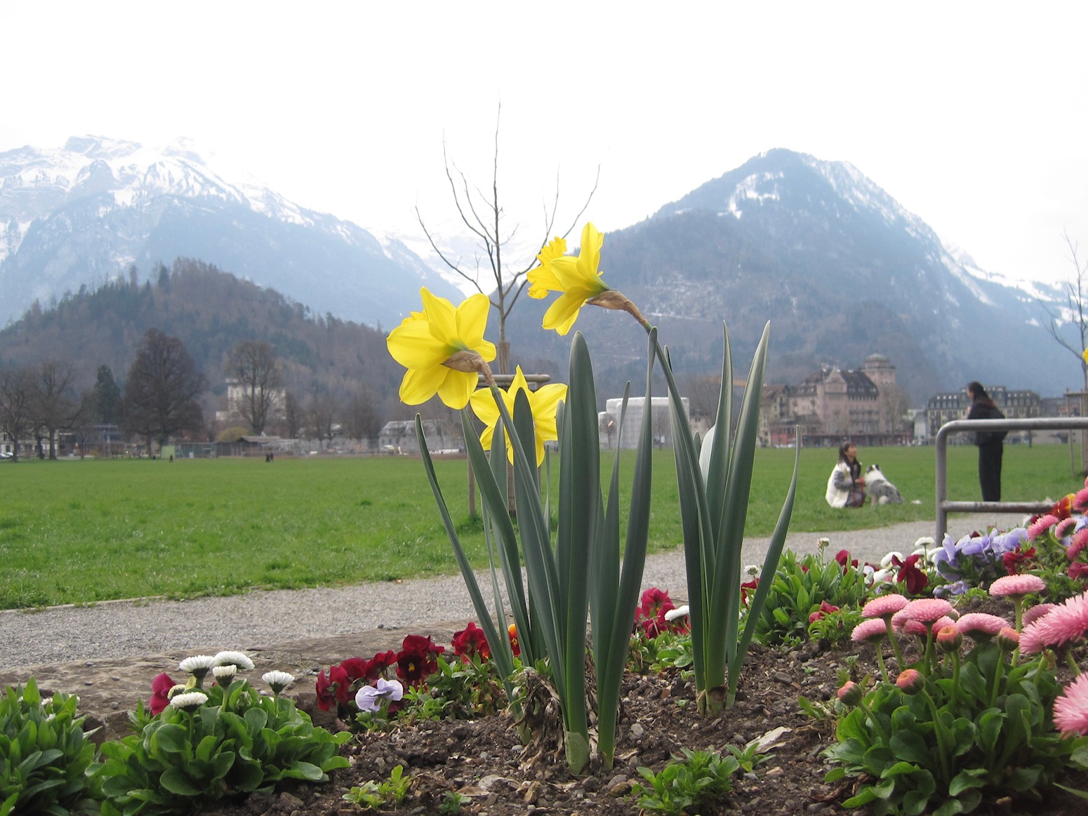 Switzerland 11