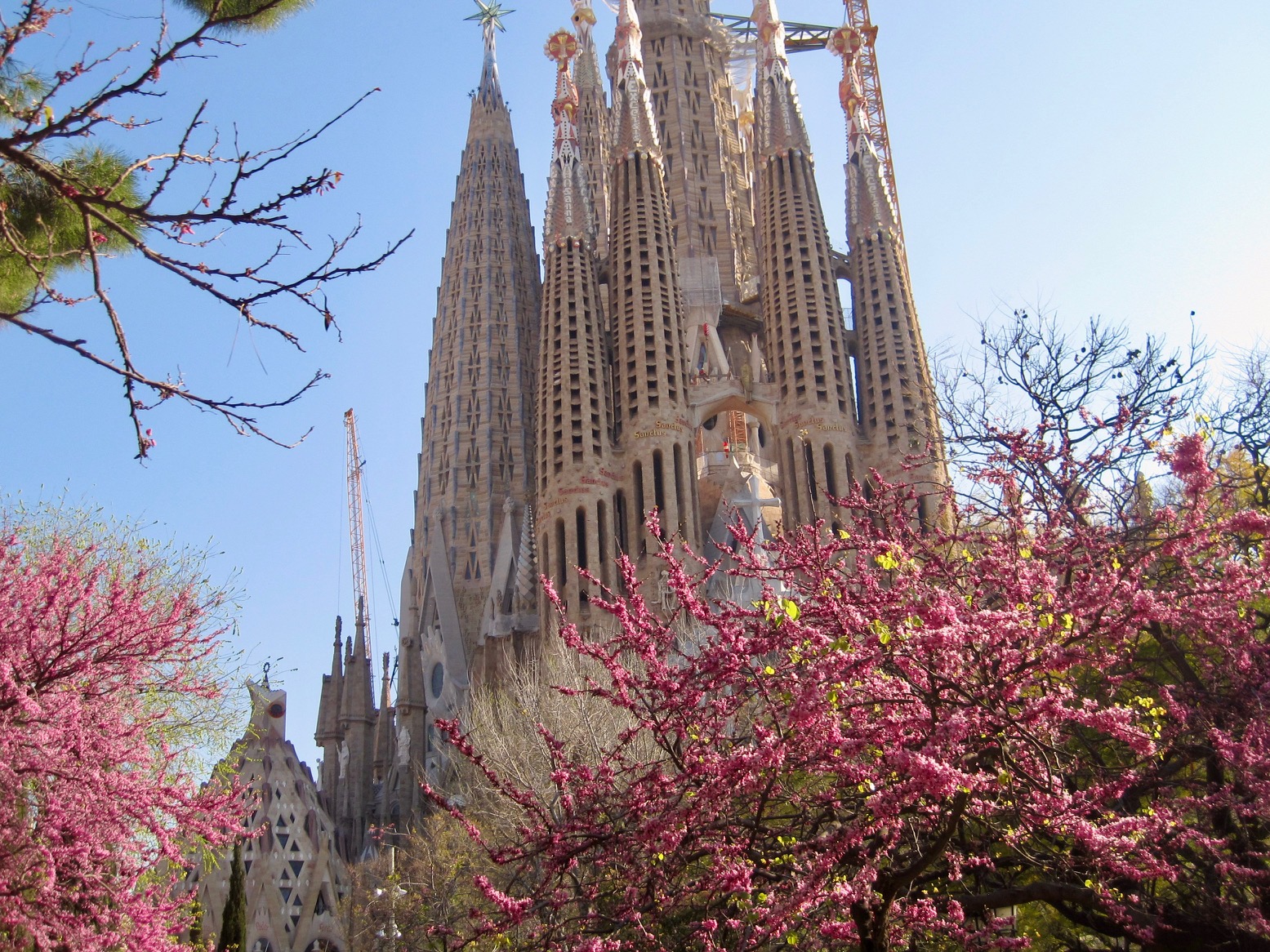 Spain 1
