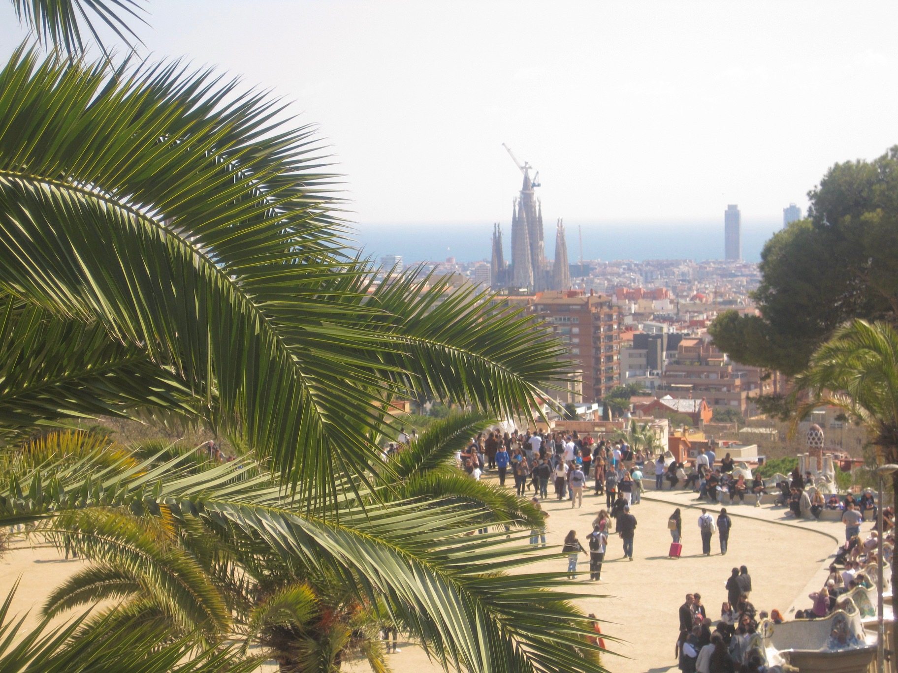 Spain 8